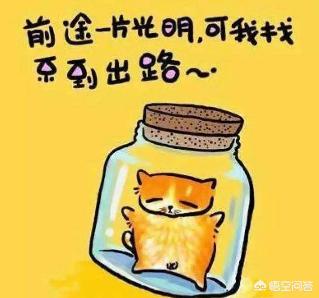 学汽车电脑板维修有前途吗(汽车电脑板维修培训机构)