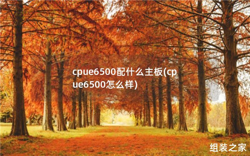 cpue6500配什么主板(cpue6500怎么样)