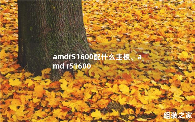 amdr51600配什么主板、amd r51600