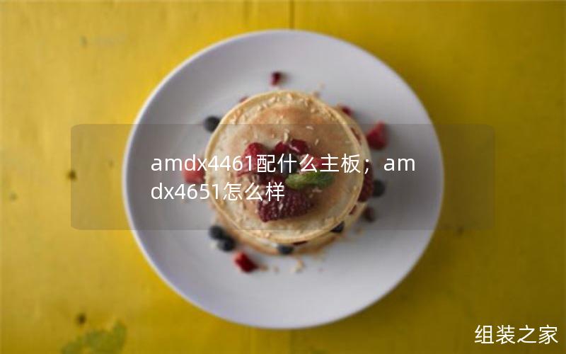 amdx4461配什么主板；amdx4651怎么样