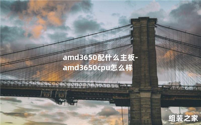 amd3650配什么主板-amd3650cpu怎么样