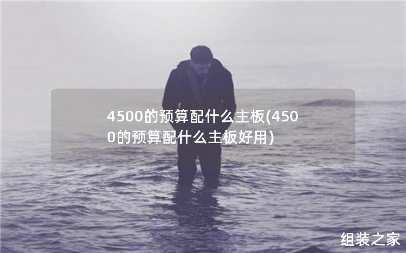 4500的预算配什么主板(4500的预算配什么主板好用)